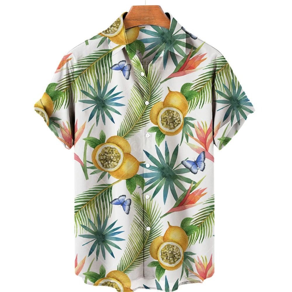Franz - Hawaii-Hemden