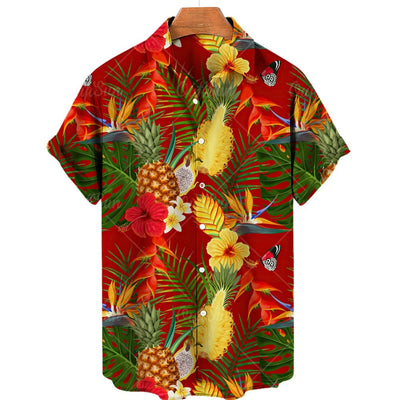 Franz - Hawaii-Hemden