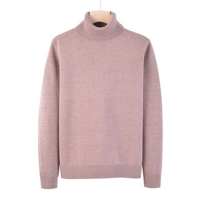 Rollkragenpullover - Arvid
