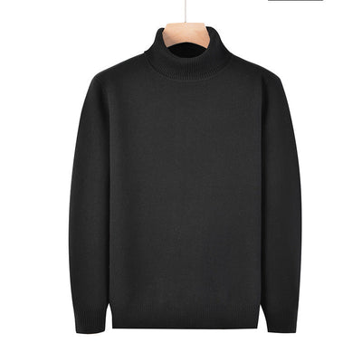 Rollkragenpullover - Arvid