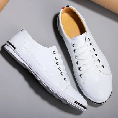 Premier Niedrig-Top-Schuh - Isidro
